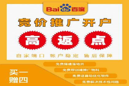 信息流广告的精准定位与效果优化案例分析